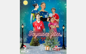 LE HBCA VOUS SOUHAITES DE JOYEUSES FETES